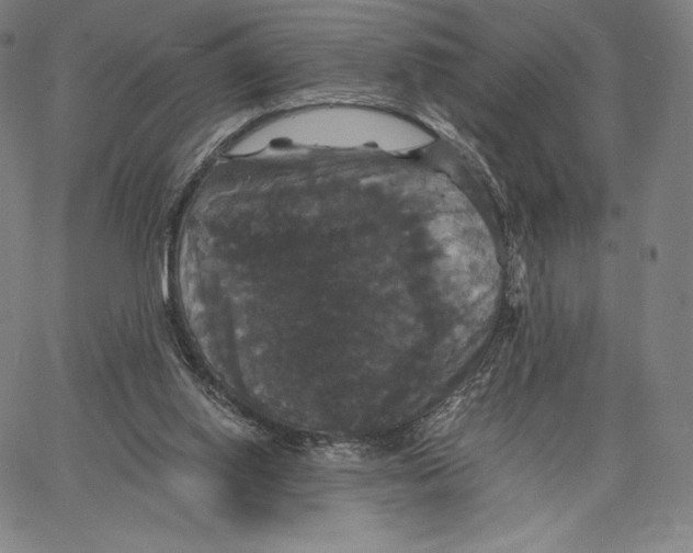 X0000062620062200601181705