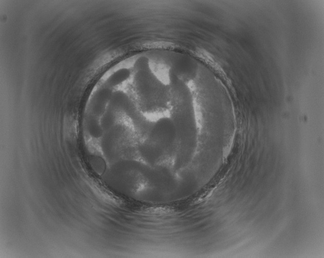 X0000062620063200601181705