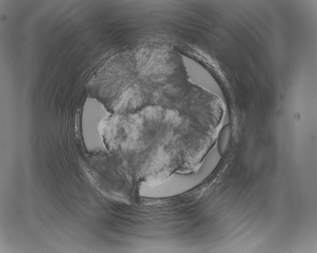 X0000062620065200601181705