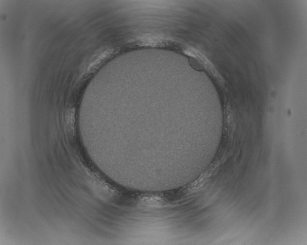 X0000062620066200601181705