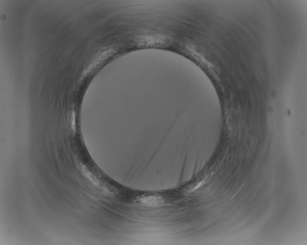 X0000062620067200601181705