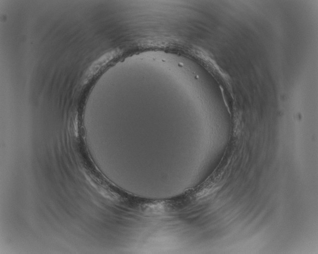 X0000062620068200601181705