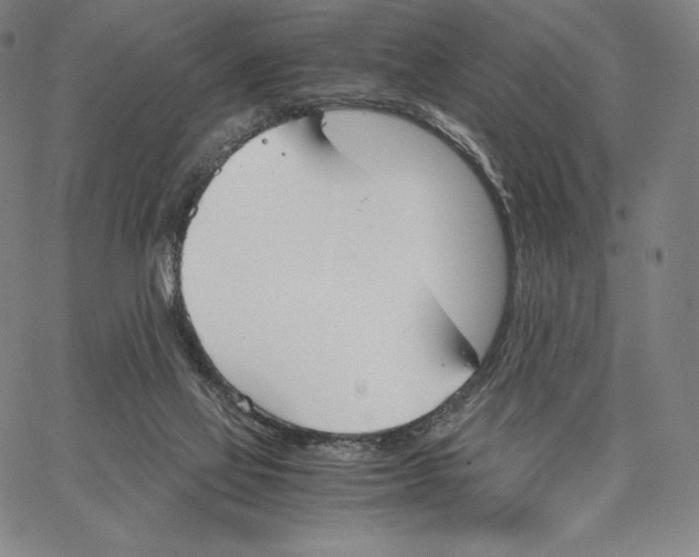 X0000062620069200601181705