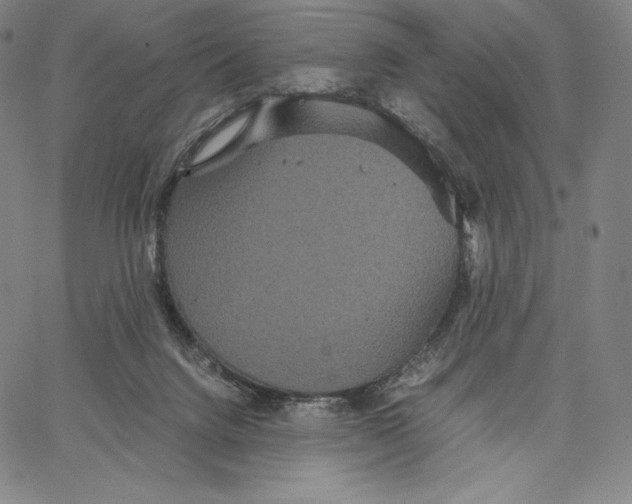 X0000062620072200601181705