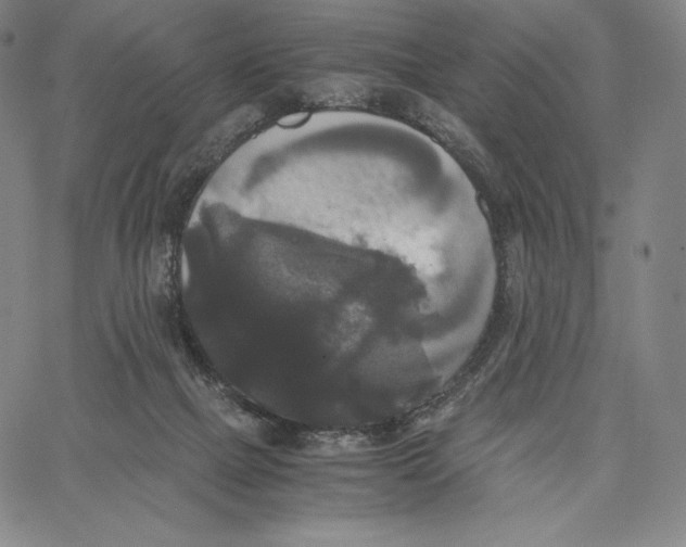 X0000062620073200601181705