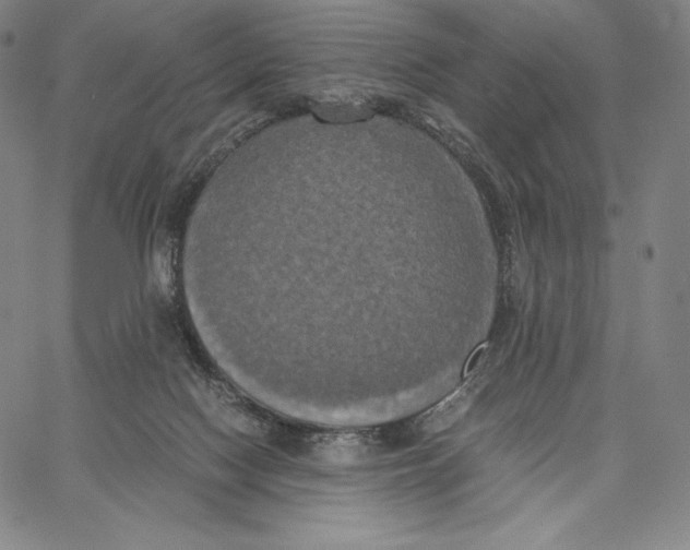 X0000062620074200601181705