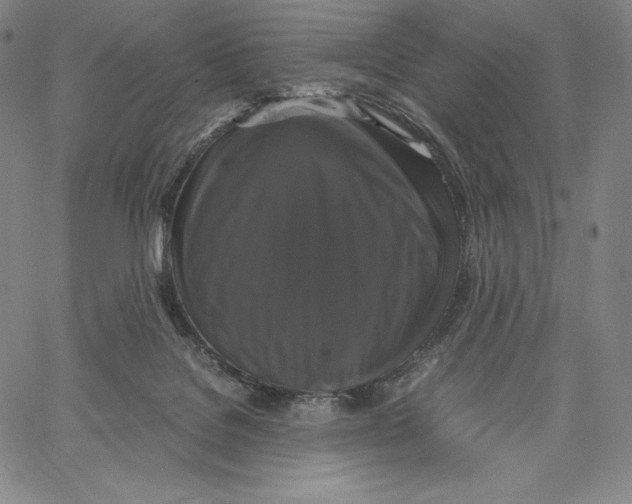 X0000062620076200601181705