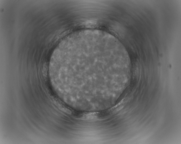 X0000062620078200601181705