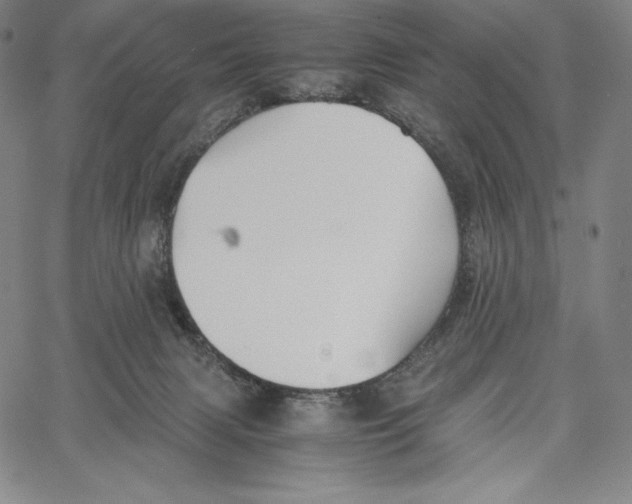 X0000062620079200601181705