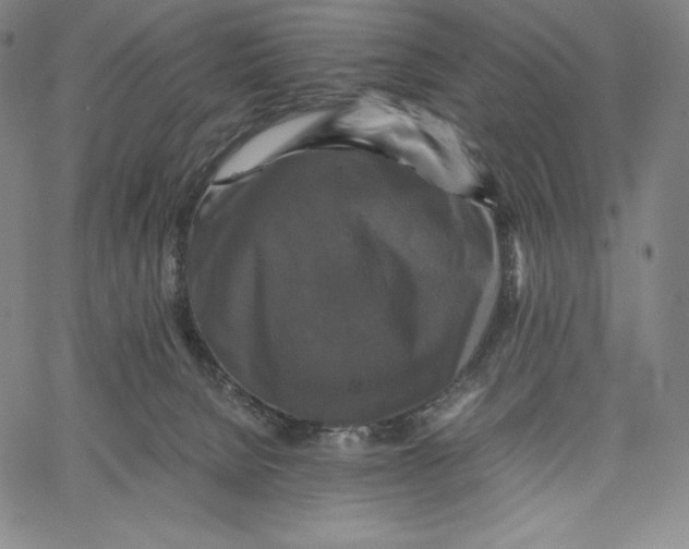 X0000062620080200601181705