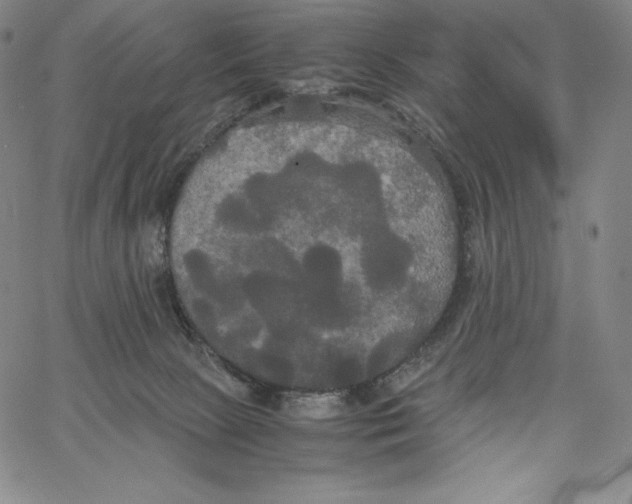 X0000062620081200601181705