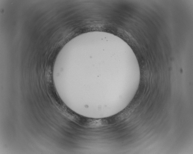 X0000062620083200601181705