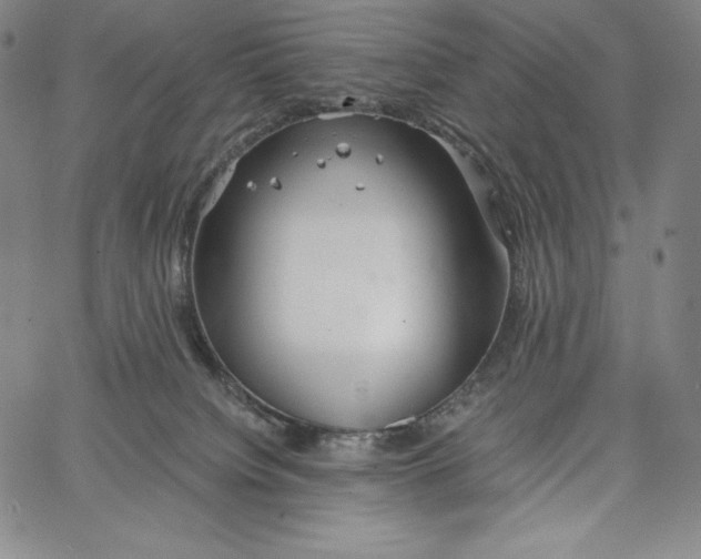 X0000062620084200601181705