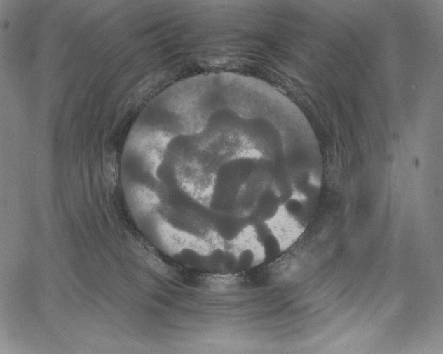 X0000062620085200601181705