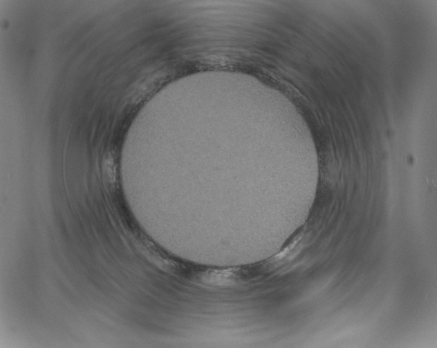 X0000062620086200601181705