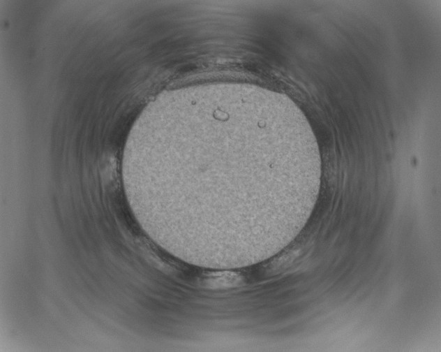 X0000062620087200601181705