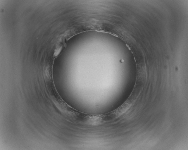 X0000062620088200601181705