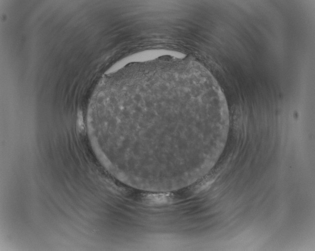 X0000062620089200601181705