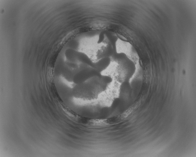 X0000062620093200601181705