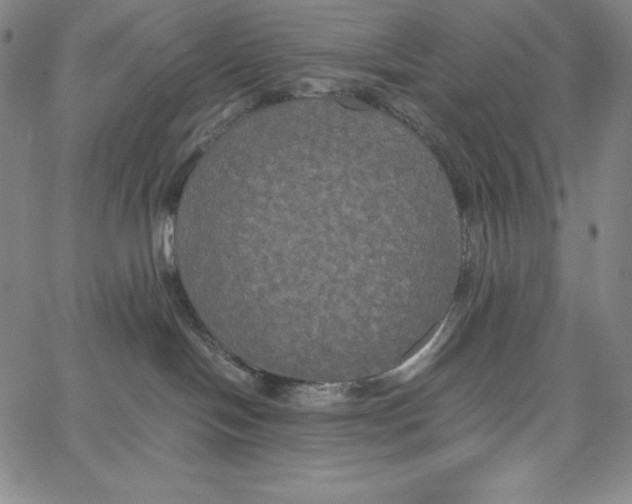 X0000062620094200601181705