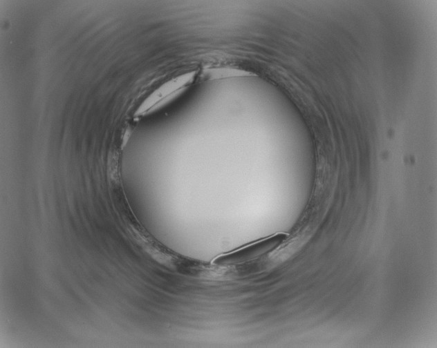 X0000062620096200601181705