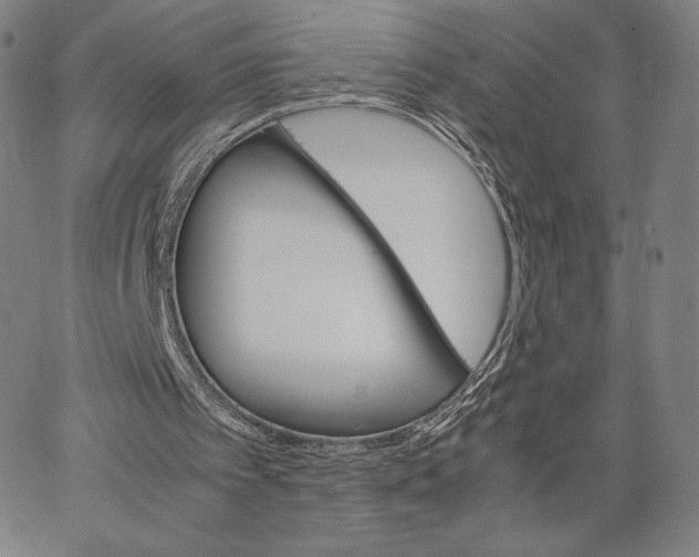 X0000062620097200601181705