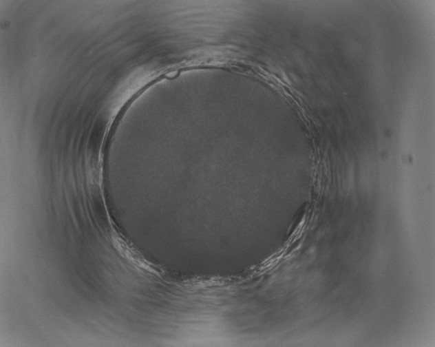 X0000062620100200601181705