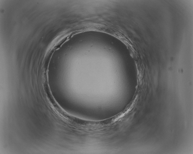 X0000062620101200601181705