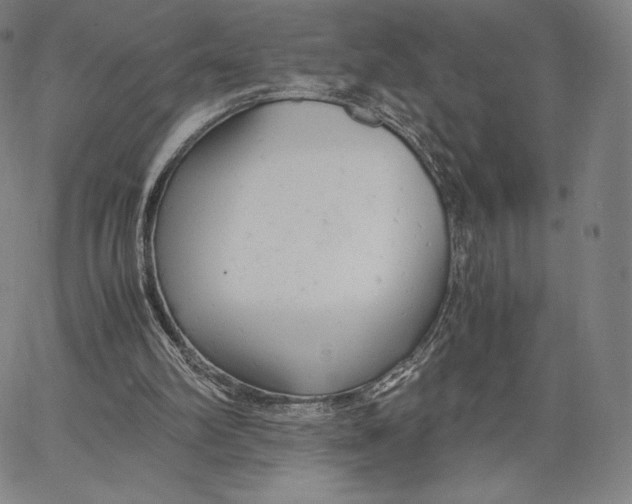 X0000062620102200601181705