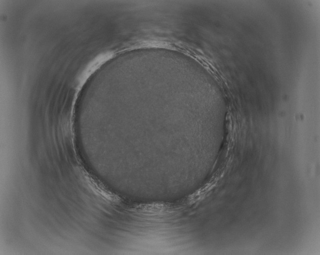 X0000062620104200601181705