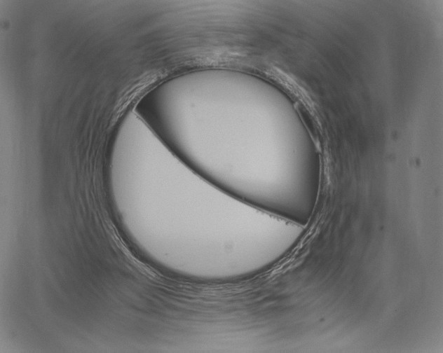 X0000062620105200601181704