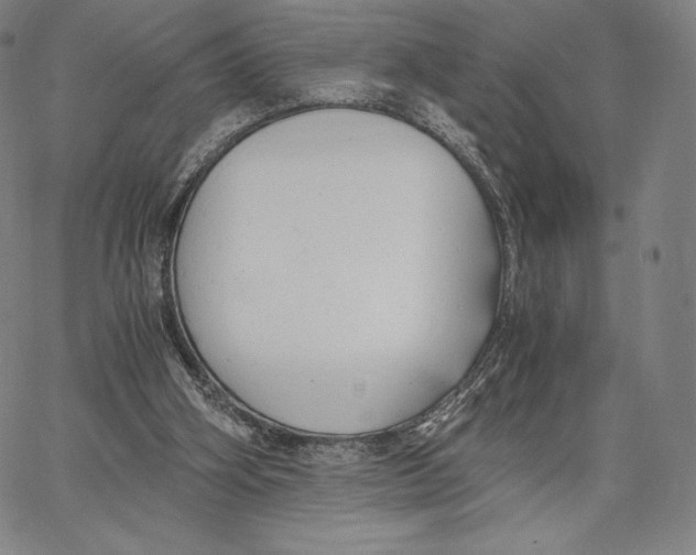 X0000062620106200601181704