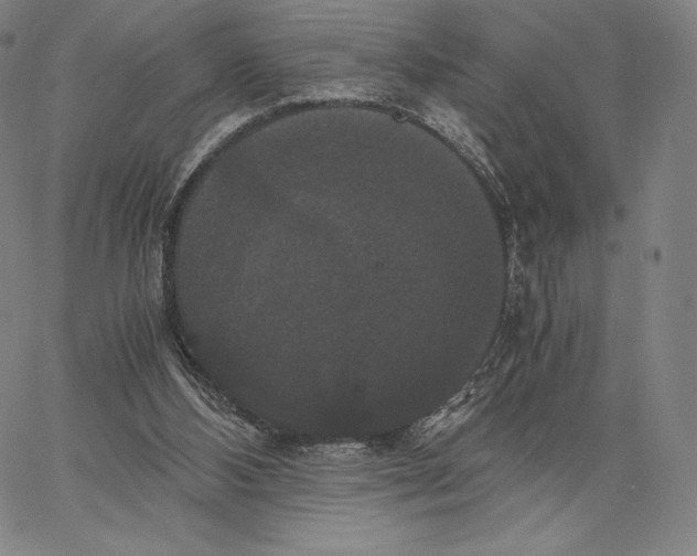 X0000062620108200601181704