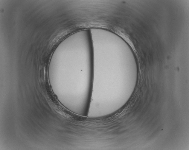 X0000062620109200601181704