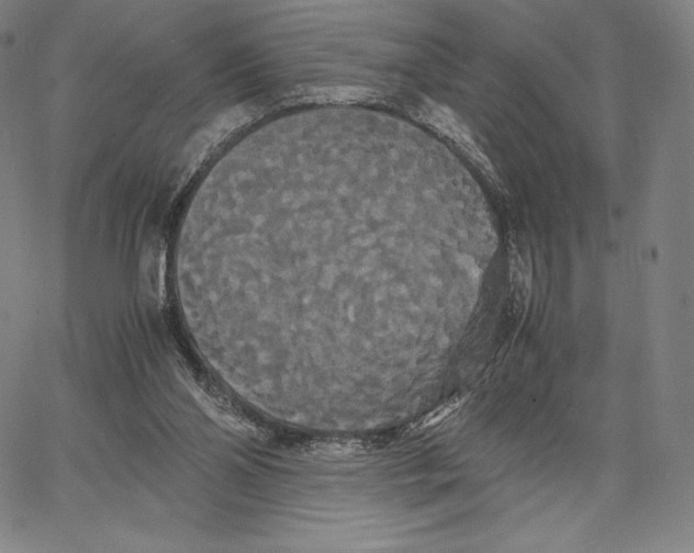 X0000062620110200601181704