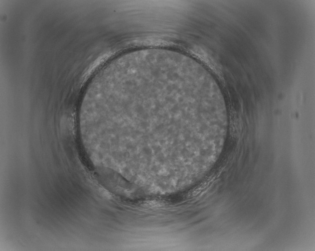 X0000062620111200601181704