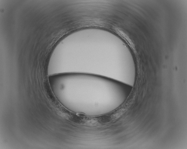 X0000062620113200601181704