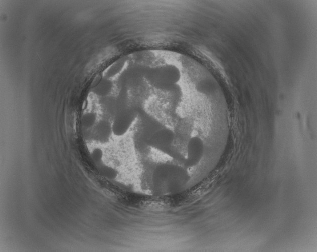 X0000062620115200601181704