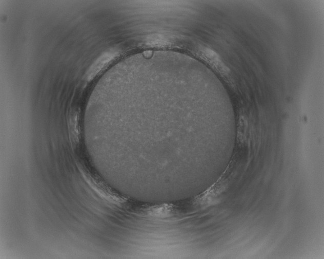 X0000062620116200601181704