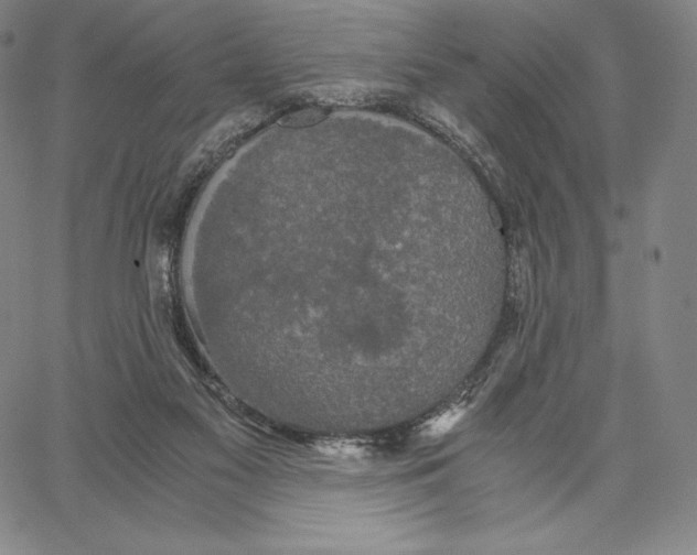 X0000062620117200601181704