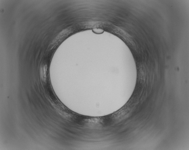 X0000062620118200601181704