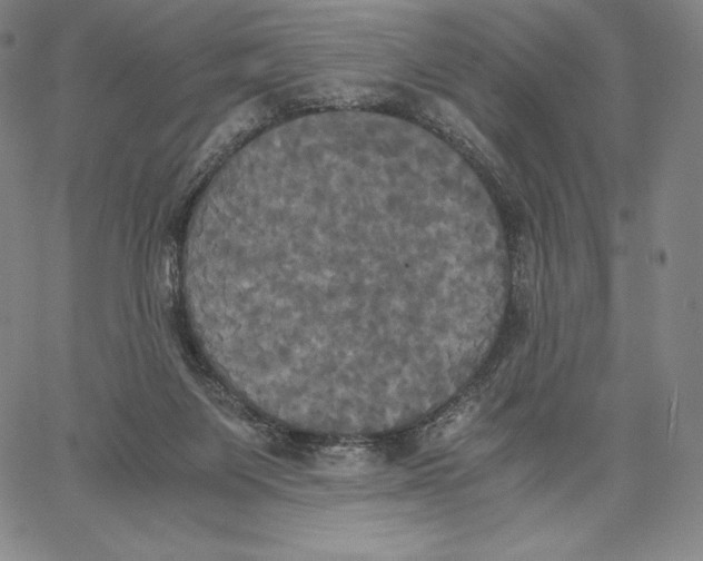 X0000062620119200601181704