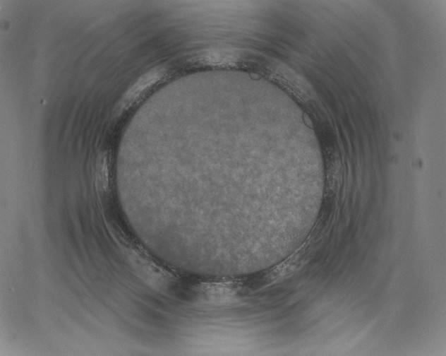 X0000062620120200601181704