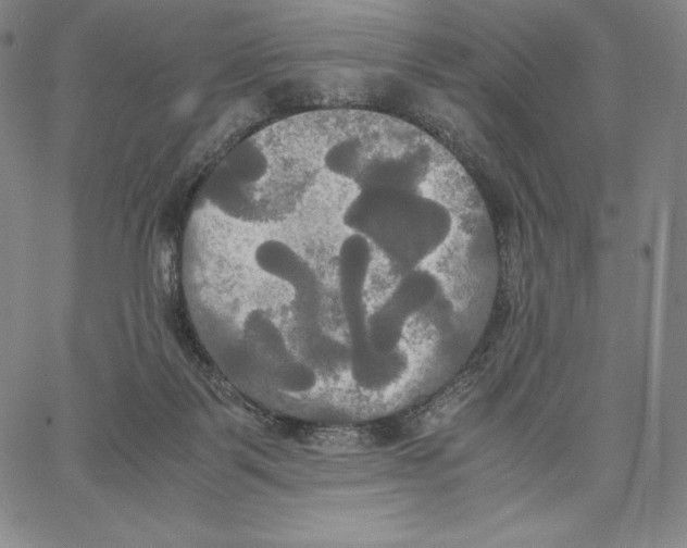 X0000062620123200601181704