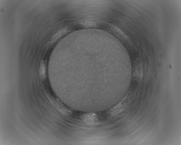 X0000062620124200601181704