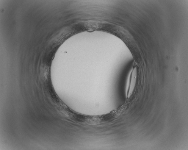 X0000062620125200601181704