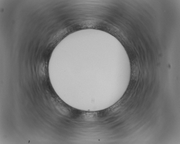 X0000062620126200601181704