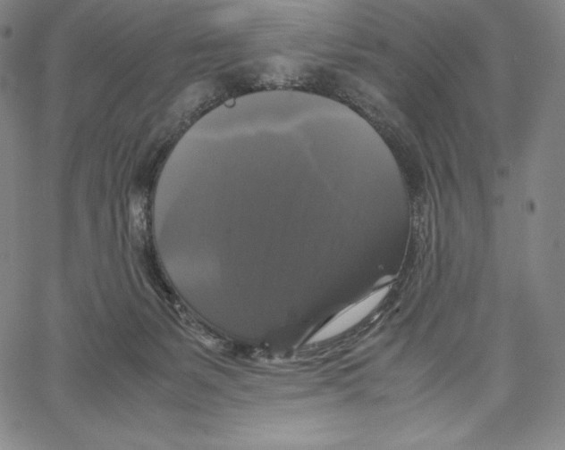 X0000062620127200601181704