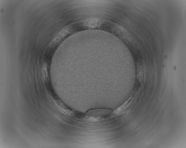 X0000062620128200601181704