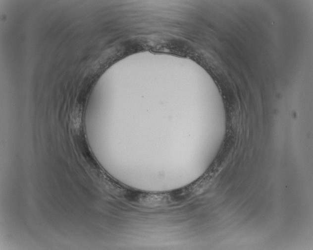 X0000062620129200601181704